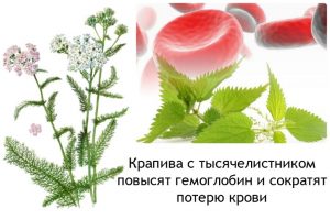 Крапива с тысячелистником