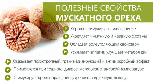 Полезные свойства мускатного ореха