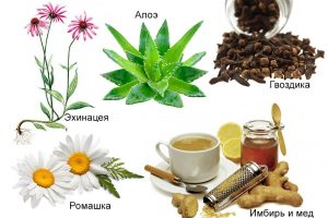 Народные средства от герпеса