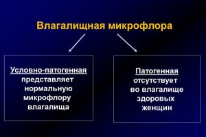 Влагалищная микрофлора