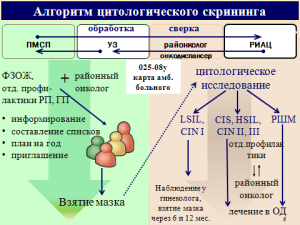 Алгоритм цитологического скрининга