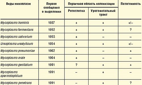 Классификация микоплазм