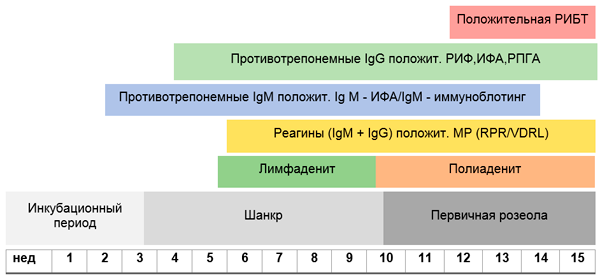 Сроки появления положительных реакций