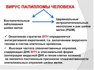 Опасность ВПЧ