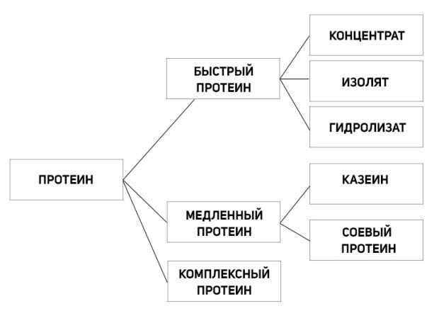 Виды протеина