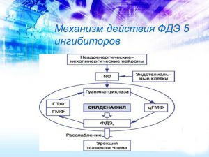 Механизм действия ФДЭ-5