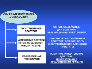 Схема действия Доксазозина