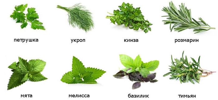Пряные травы