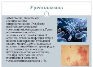 Особенности уреаплазмоза