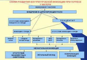 Развитие внутриутробной инфекции при герпесе