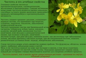 Лечебные свойства чистотела