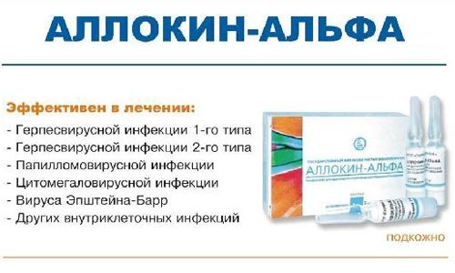 Аллокин альфа
