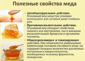 Полезные свойства меда