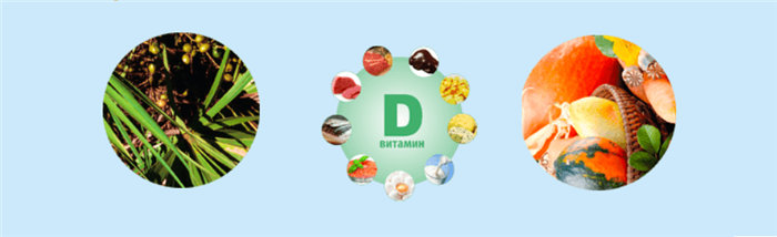 Компоненты Со Пальметто