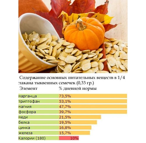 Полезный состав тыквенных семечек