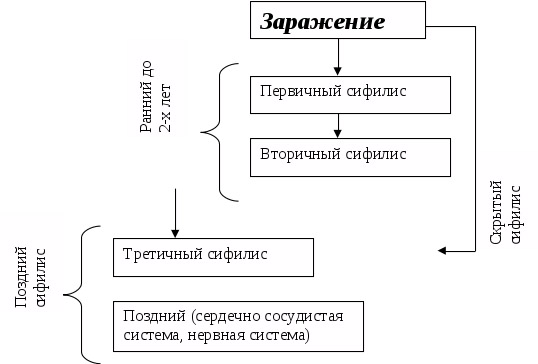 Схема развития сифилиса