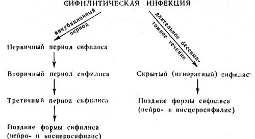 Сифилитическая инфекция
