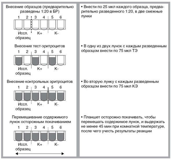 Пример постановки РПГА