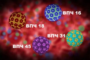 Некоторые типы ВПЧ