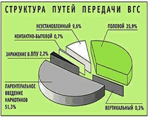 Структура путей передачи ВГС