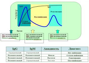 Схема диагностики TORCH-инфекции