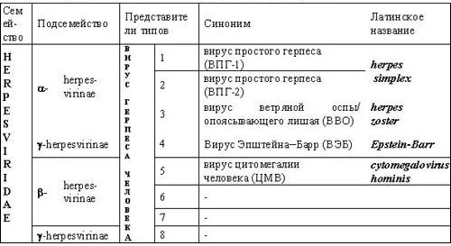 Классификация вирусов герпеса