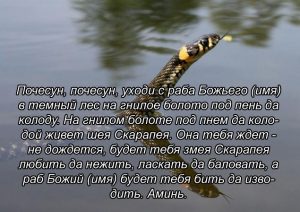 Заговор на змею