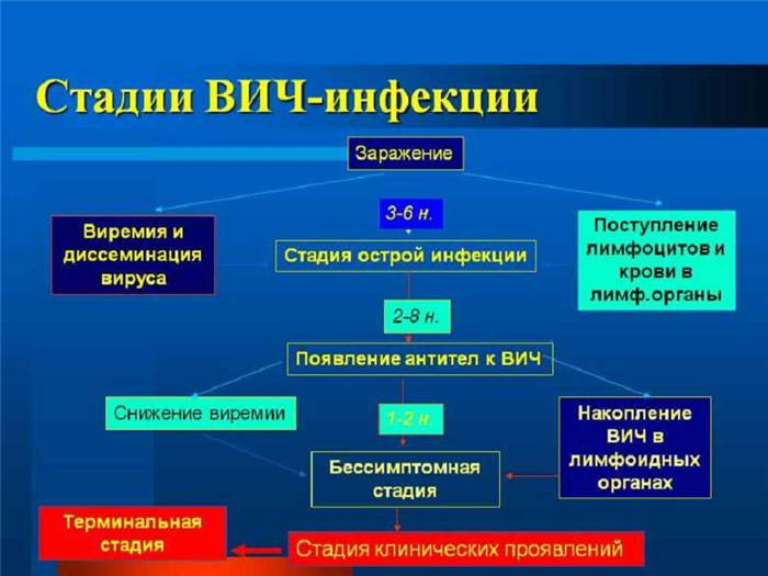 Как развивается ВИЧ-инфекция