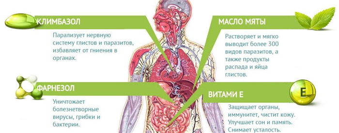 Что входит в Tinedol и действие компонентов на организм