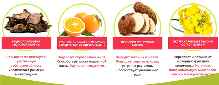 Состав средства Турбофит