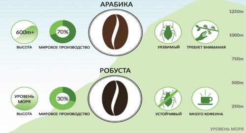 Виды кофейных зерен