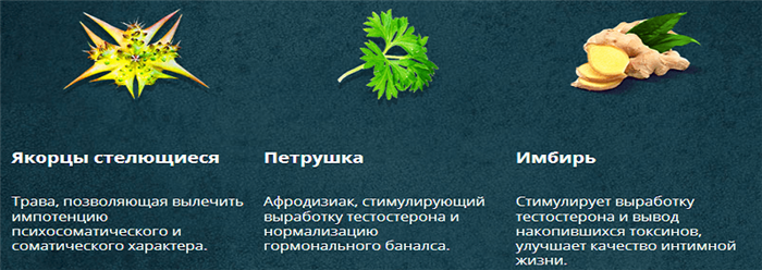 Ингредиенты УретроАктива