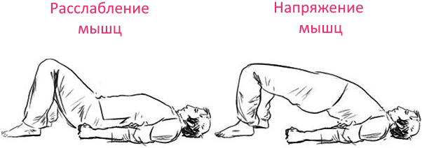 Подъем таза и напряжение мыщц