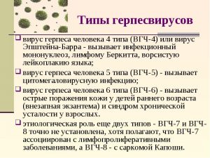 Типы герпесвирусов