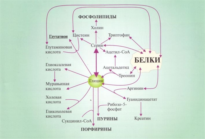Аминокислота глицин