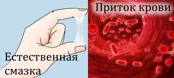 Смазка и приток крови