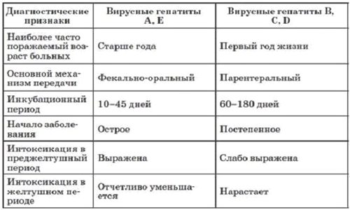 Особенности вирусных гепатитов