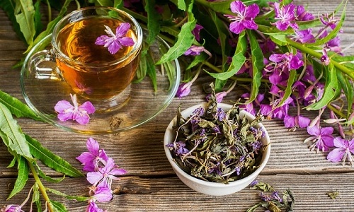 Иван-чай часто используют при воспалительных заболеваниях мочеполовой системы