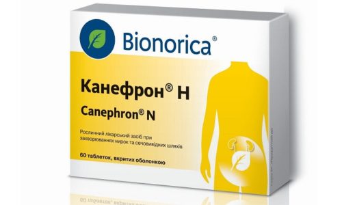 Канефрон является препаратом растительного происхождения, поэтому рекомендуется пациентам с органической непереносимостью активных компонентов средств на химической основе