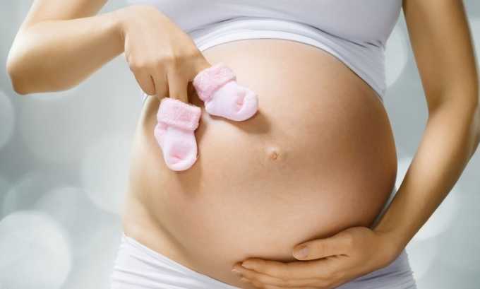 Употреблять имбирь во время беременности запрещено