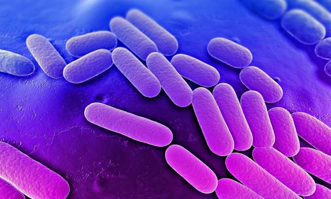 Бактериальные инфекции могут быть причиной возникновения буллезного цистита
