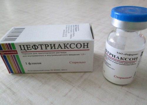 Цефтриаксон — действенное средство при простатите