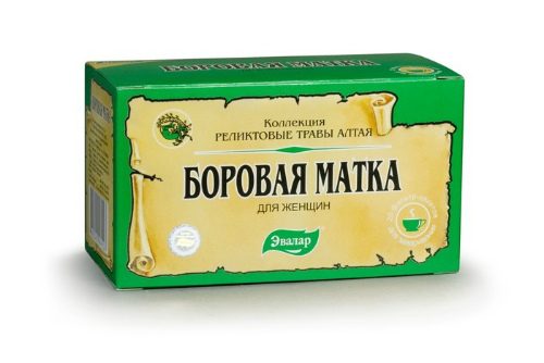 Чем полезен прием боровой матки при аденомиозе?
