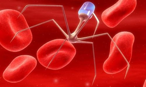 Через какое время проявляется гепатит С после заражения?