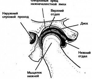 Что делать если болит нижняя челюсть?