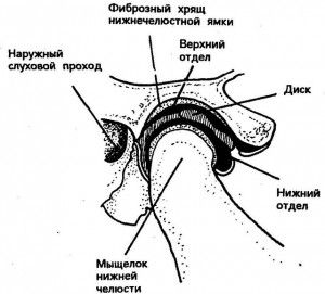Что делать если болит нижняя челюсть?
