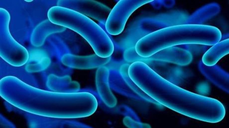 Что значит, если обнаружены Уреаплазма специес у женщин и мужчин?