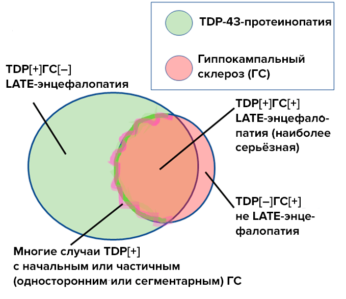 Диэнцефалическая патология и энергетическая оболочка