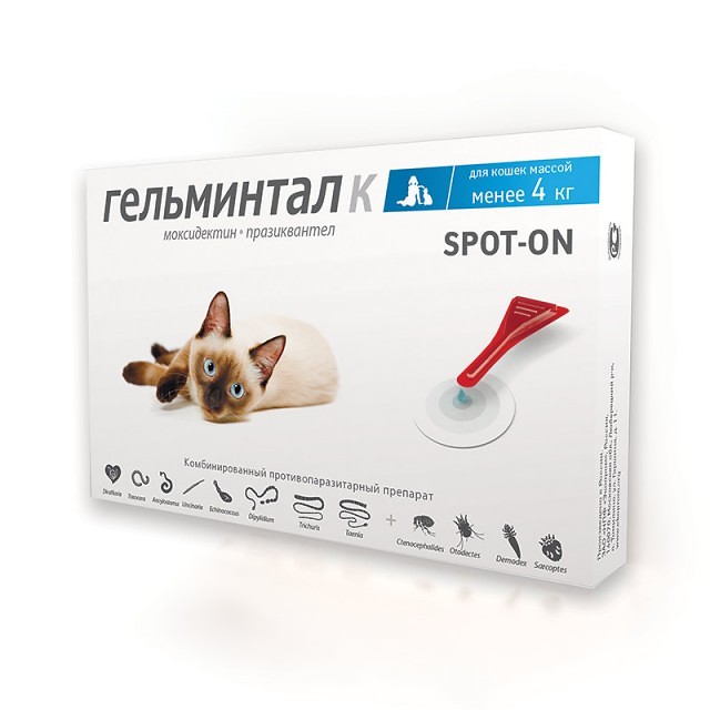 Гельмитон спас каникулы