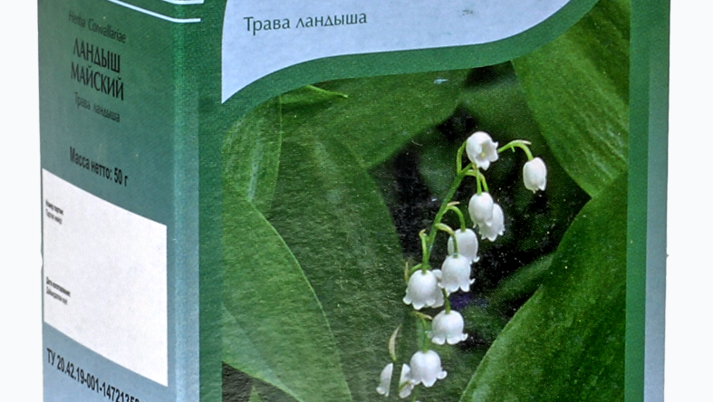 Ландыш при болях в сердце